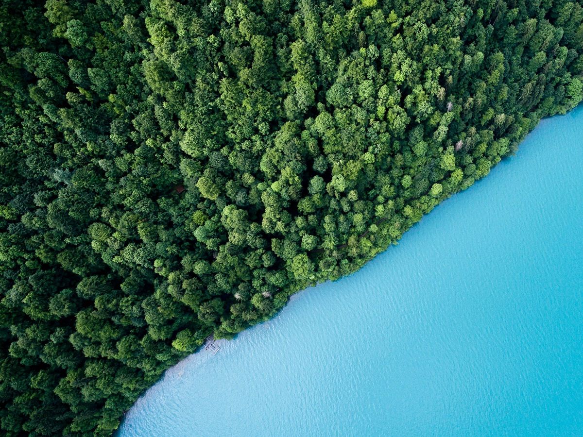 East Texas lake and Piney Woods in Smith County
