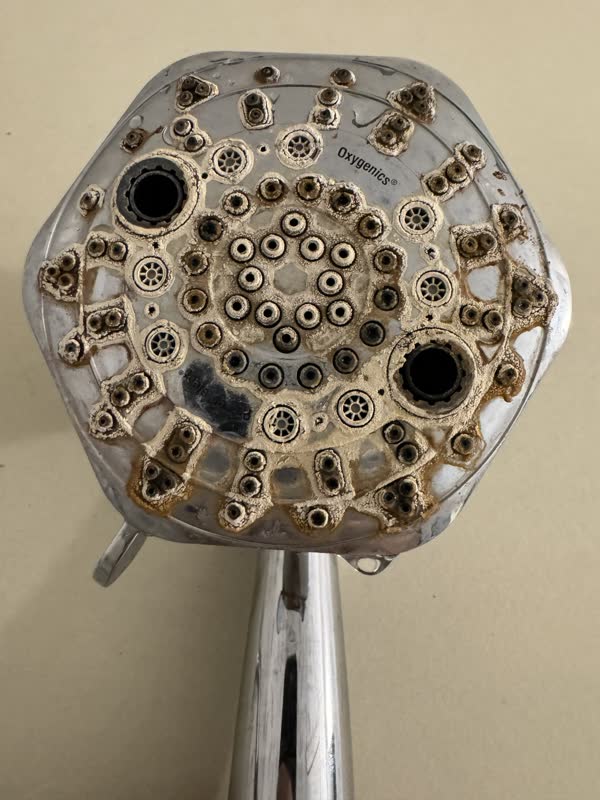 Showerhead completely crusted over with white hard-water scale and orange iron staining
